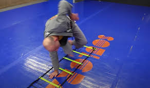 agility ladder to your martial arts