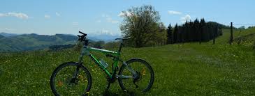 About 20 percent of the municipality is forested. Routes In Neuhofen An Der Ybbs Travel Guide Outdooractive Com