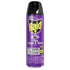 raid 16 oz flea spray