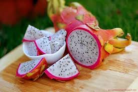 Image result for DRAGON FRUIT FARMING INDIA