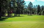 Pinetop Lakes Golf & Country Club in Pinetop, Arizona, USA | GolfPass