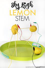 lemon battery science fair project