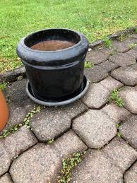 Medium To Large Garden Pot Black Bidbud