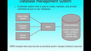 Introduction To Database Management Systems Dbms
