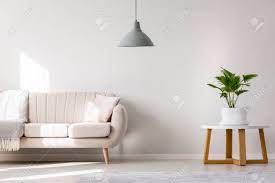 Apr 21, 2021 vstock getty images. Beige Sofa In Simple Living Room Interior With Palm Plant On White Round Table And Gray Lamp Stock Photo Picture And Royalty Free Image Image 97578795
