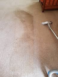 carpet cleaning ipswich suffolk