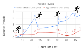 Optimal Ketosis How I Tracked My Blood Ketone And Glucose