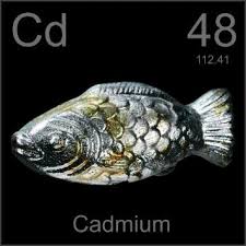 element cadmium in the periodic table