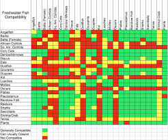 Freshwater Fish Compatibility Chart Fish Vivarium