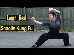 learn real shaolin kung fu step by step