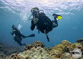 health and scuba diving world diving