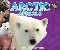 Arctic animal fine motor activities for preschoolers. Arctic Animals Fun Facts For Kids Kidsbooks 9781588658371 Amazon Com Books