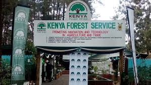Image result for kenya forest service