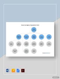 home care agency organization chart