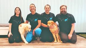 good dog retreat opens in manteo the