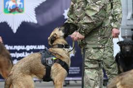 11 sapper dogs to ukraine