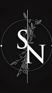 s n name leaves design logo design