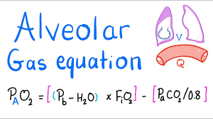 alveolar gas equation lung physiology