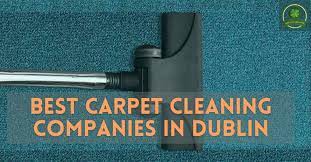 14 best carpet cleaning companies in