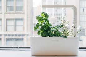 Grow Smart Herb Garden Review