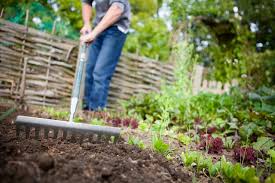 how to improve garden soil with amendments