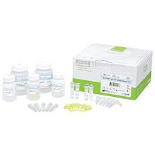 AccuPrep® Plant Genomic DNA Extraction Kit, 100 extractions -  www.bio-active.co.th