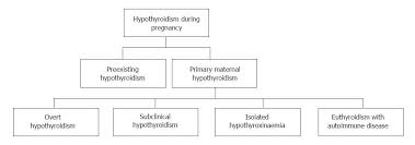 Hypothyroidism During Pregnancy Controversy Over Screening