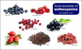 Biological Activity of Anthocyanins 2018 IACM Global Color Conference
