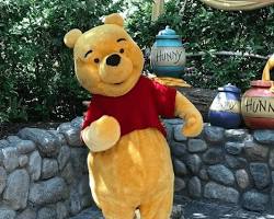 รูปภาพWinnie the Pooh mascot