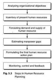 Steps In Human Resource Planning Explained With Diagram