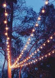 Canopy Of String Lights In Our Backyard