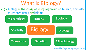 biology definition branches books