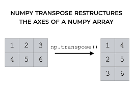 numpy transpose explained sharp sight