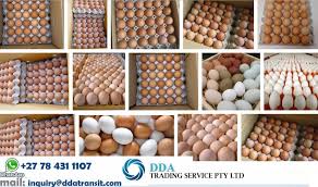 Currently, the maximum permissible compensation allowable in south africa under the national guidelines from the south african society for reproductive medicine (sasreg), is r7000 per donation cycle. R20 Per Tray Fresh Eggs Fresh Eggs For Sale Johannesburg Gauteng General Other Internet Ads South Africa S Online Classifieds And Accommodation Directory