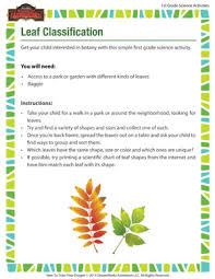 Leaf Classification Online Activity Worksheet 1st Grade Sod