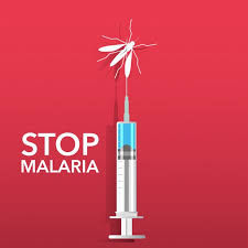 Hasil gambar untuk malaria