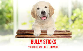 Free shipping on all orders Bully Sticks For Dogs 7 Reasons They Re The Best Chew Treat Downtown Pet Supply