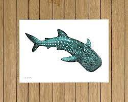 Whale Shark Print Shark Wall Art Giclée