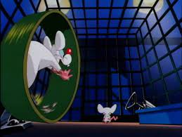 A collab of the intros from animaniacs and pinky and the brain, two of the most amazing cartoons of my childhood. Pinky And The Brain Intro Coub The Biggest Video Meme Platform