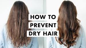 how to fix dry hair winter hair tips