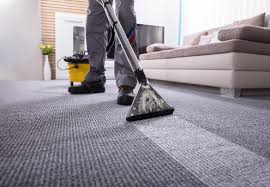carpet cleaning house garden deals
