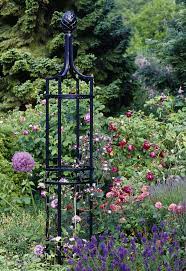 obelisk i rose pillar by clic garden