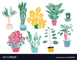 Flowers Hand Drawing Set Vector Image