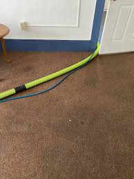 carpet cleaning on bouquet st in