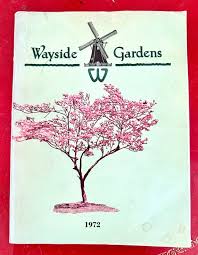1972 Vintage Wayside Gardens Catalog