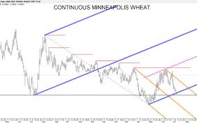 Why The Next Move For Grains And Cattle Is Likely Higher