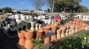 plant pots for in queensland