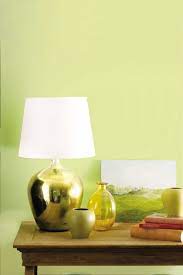 Yellow Green Paint Color Eclectic