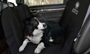 American Kennel Club Back Seat Cover