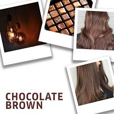 8 chocolate brown hair color ideas